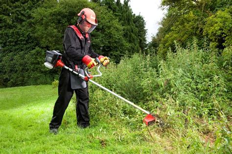 Decespugliatore A Scoppio Materiali Per Il Giardino Modelli Di