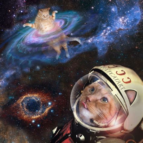 Space Cats Rule The Universe Cat Art Space Cat Cute Cats