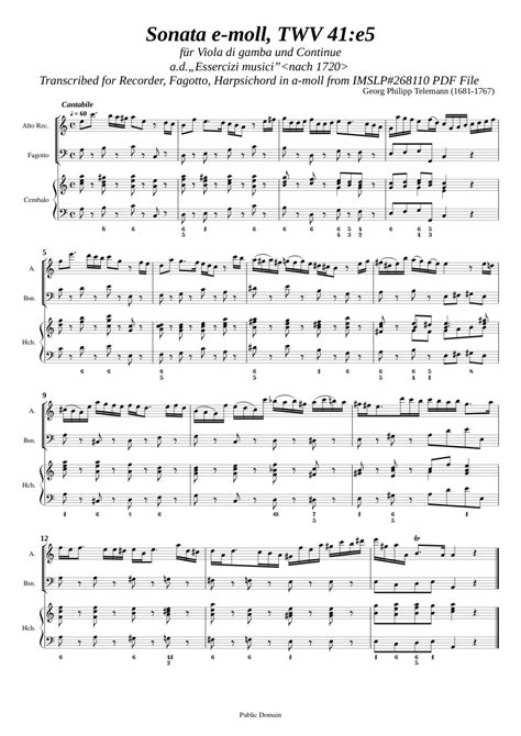 Telemann G P Viola Da Gamba Sonata Twv 41 E5 [rec Bsn Hch] Sheet