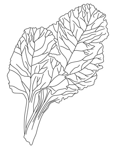 Vegetable Coloring Pages To Print - Coloring Home