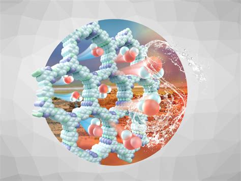 Chemistryviews On Twitter Angewandte Chemie Purification And