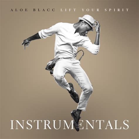 ‎lift Your Spirit The Instrumentals Album By Aloe Blacc Apple Music