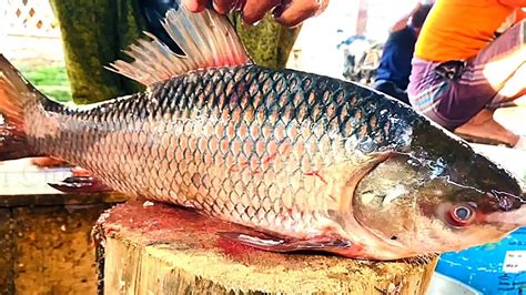 Expert Live Giant Rohu Fish Cutting Skills Big Rohu Fish Cleaning And