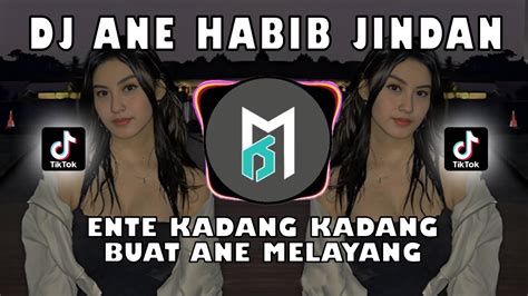 Dj Ane Habib Jindan Tiktok Terbaru Dj Istilah Kata Full Beat Youtube