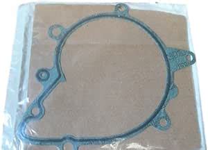 Amazon Land Rover Water Pump Gasket Pet Range Rover