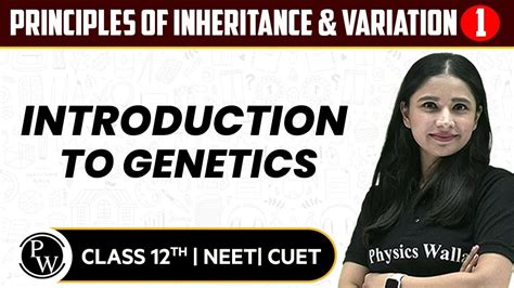 Principles Of Inheritance Variation Introduction To Genetics