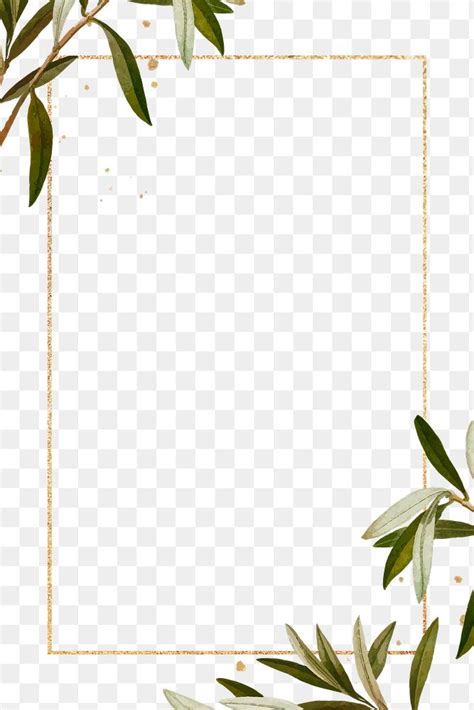 Olive Branches Frame Png Hand Premium Png Rawpixel