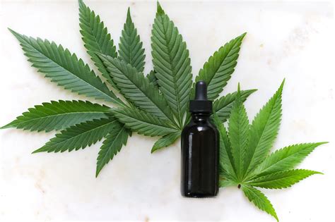 FDA Approvals Will Soon Double The Variety Of Cbd Gnc Options Available - RYZE Superfoods