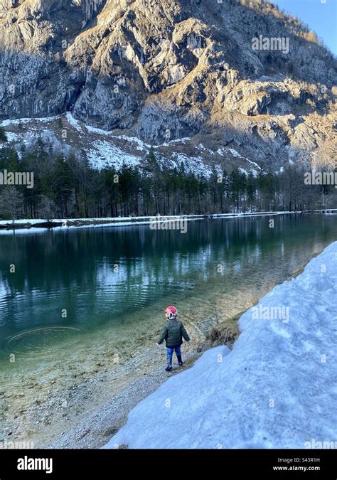 Little boy throwing rocks in a lake Stock Photo - Alamy