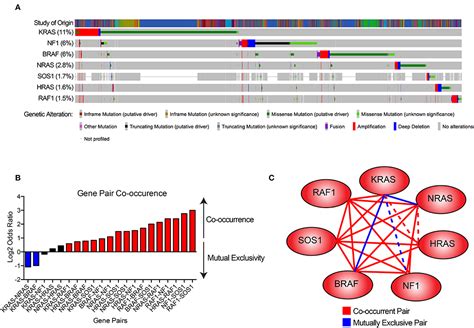 Frontiers Ras Striking At The Core Of The Oncogenic Circuitry