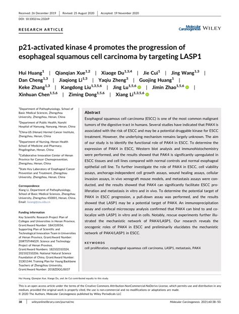 Pdf P21‐activated Kinase 4 Promotes The Progression Of Esophageal