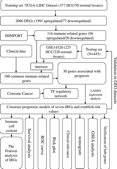 Flowchart Presenting The Process Of Establishing The Seven Gene