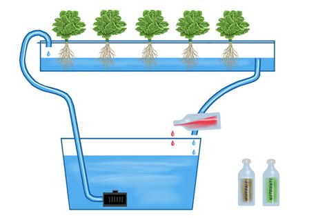 Diagram Of Hydroponics System