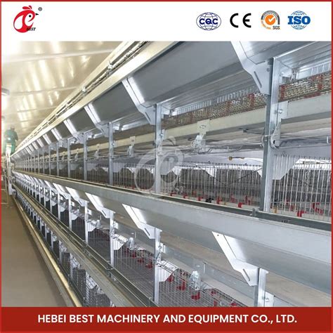 Bestchickencage H Frame Broiler Cages China Automatic System Chicken