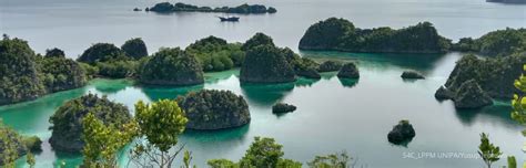 Mengikuti Seminar Ilmiah Internasional Di Raja Ampat Science For