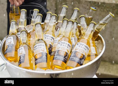 Corona beers in ice bucket Stock Photo - Alamy