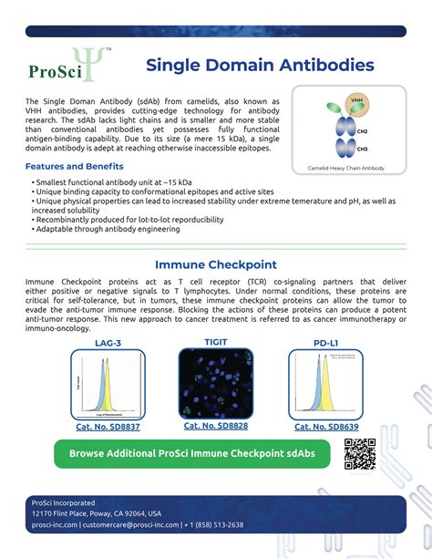 Single Domain Antibodies Prosci Incorporated