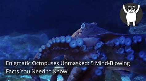 Enigmatic Octopuses Unmasked 5 Mind Blowing Facts You Need To Know Youtube