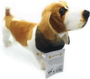 Basset Hound Training