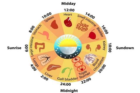 Ti Svegli Sempre Alla Stessa Ora Di Notte Ecco Cosa Vuole Dirti Il Tuo