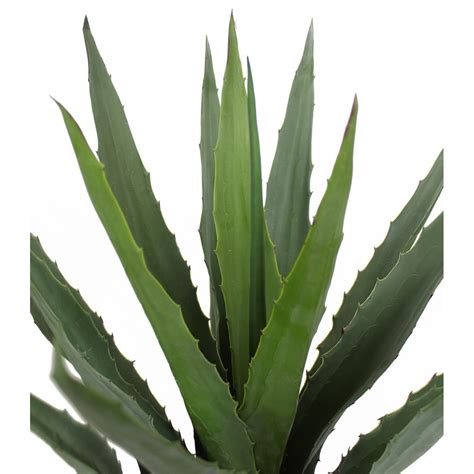 Agave Montana Artificiel Cm Agaves Artificiels Artiplantes