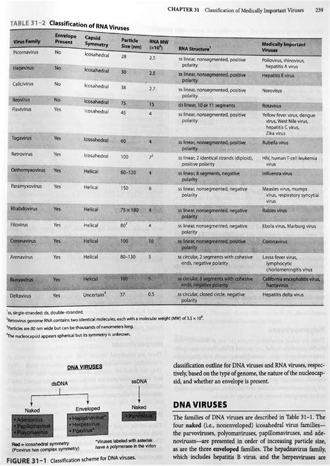 Solution Medical Documents Classification Of Medically Important