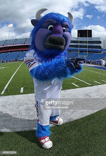 Buffalo Bills Mascot Photos and Premium High Res Pictures - Getty Images