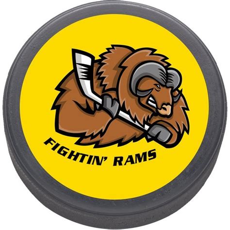 Hockey Puck 3 Promotions Now