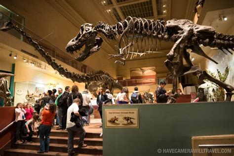 Smithsonian Museum of Natural History | Washington DC Photo Guide