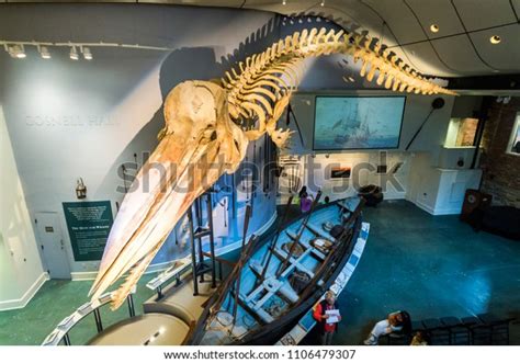 15 Nantucket Whaling Museum Images, Stock Photos, and Vectors | Shutterstock