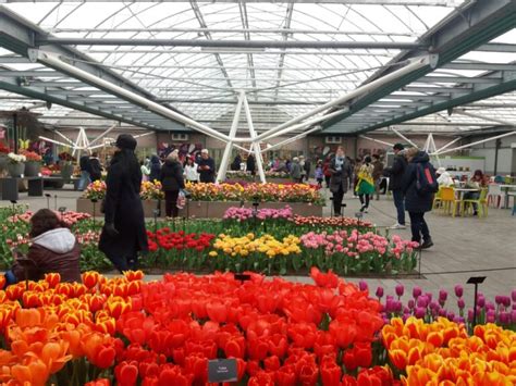 Ogr D Keukenhof W Holandii Carriere