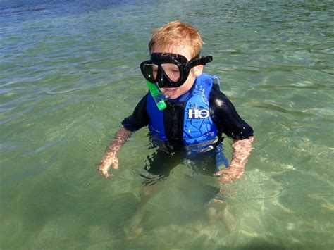 Maui Snorkel Tours Kihei All You Need To Know Before You Go