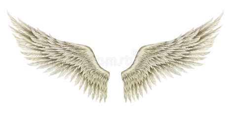 Arms Angel Stock Illustrations – 1,747 Arms Angel Stock Illustrations ...