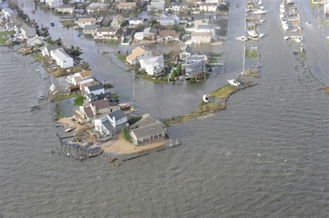 Flood Damage to Trees after Hurricane Sandy: Lessons and Surprises ...