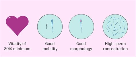 Whats Being A Sperm Donor Like Things To Consider