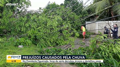 Vento Derruba árvores E Arranca Telhado De Casas Durante Forte Chuva Em