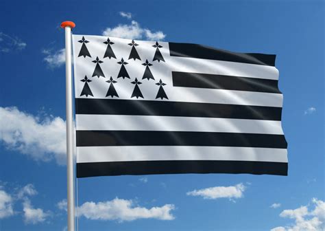 Streekvlag Bretagne Bestel Bij Mastenenvlaggen Nl