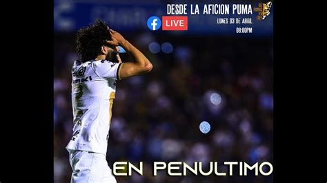 Desde La Afici N Puma Jornada Quer Taro Vs Pumas Comentarios