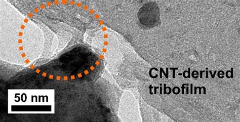 Cross Sectional Transmission Electron Micrograph Of The Cnt Substrate