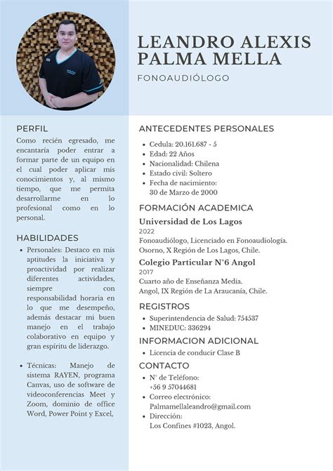 Cv Palma Nuevo Curriculum Vitae Modo Explicativo De Fonoaudiologo