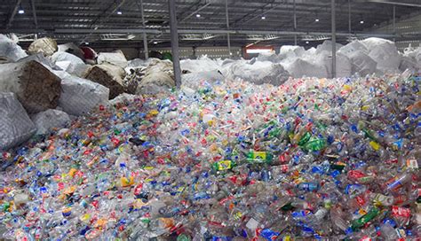 Recolectan 4 Millones De Botellas Plásticas Diario El Mundo