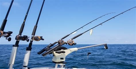 When Is Kingfish Season In Florida? | Salty Knots Fishing