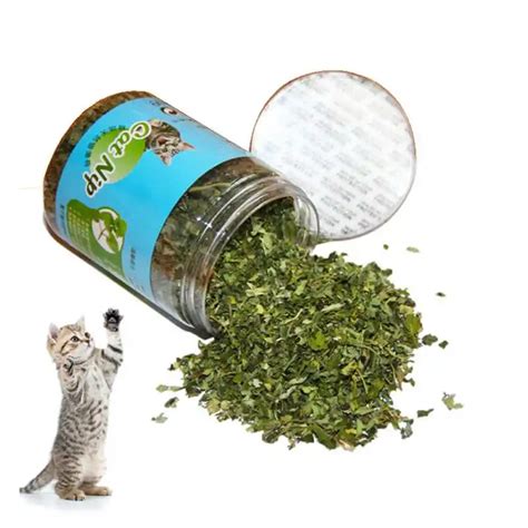 Natural Organic Premium Catnip G G G Catmint Menthol Flavor