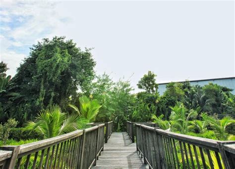 Premium Photo Footbridge Amidst Trees Against Sky