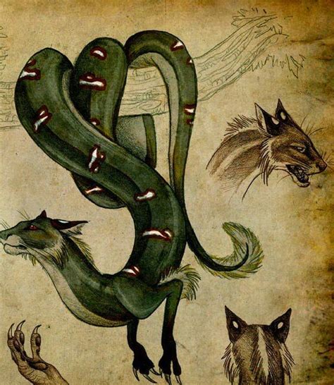 Tatzelwurm Wiki Urban Legends Cryptids Amino