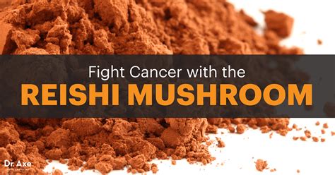 Reishi Mushroom Supplements- Scientifically Proven Uses, Dosage, and ...