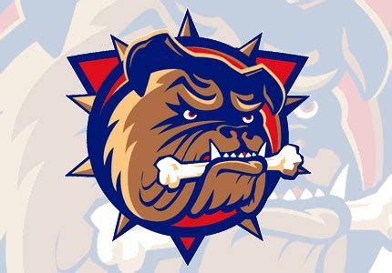 Hamilton Bulldogs Training Camp Roster | AHL Report