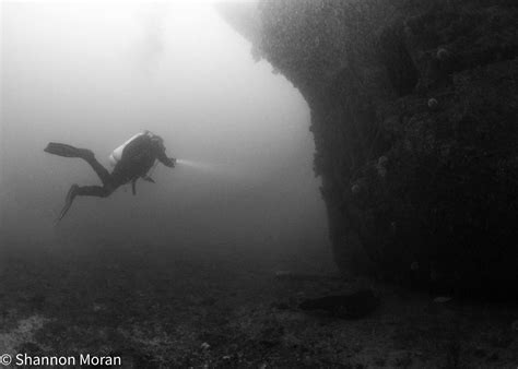 PADI Self Reliant Diver Cornish Diving X DiveUK