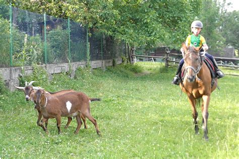 Agroturystyka Rzepka Czarna Góra