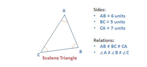 Properties Of Triangle Types Formulas With Practice Questions